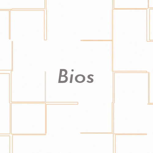 button linking to bios